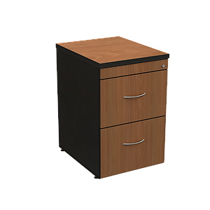 2 Drawer cabinet (letter) 19 x 24 x 29" Volt
